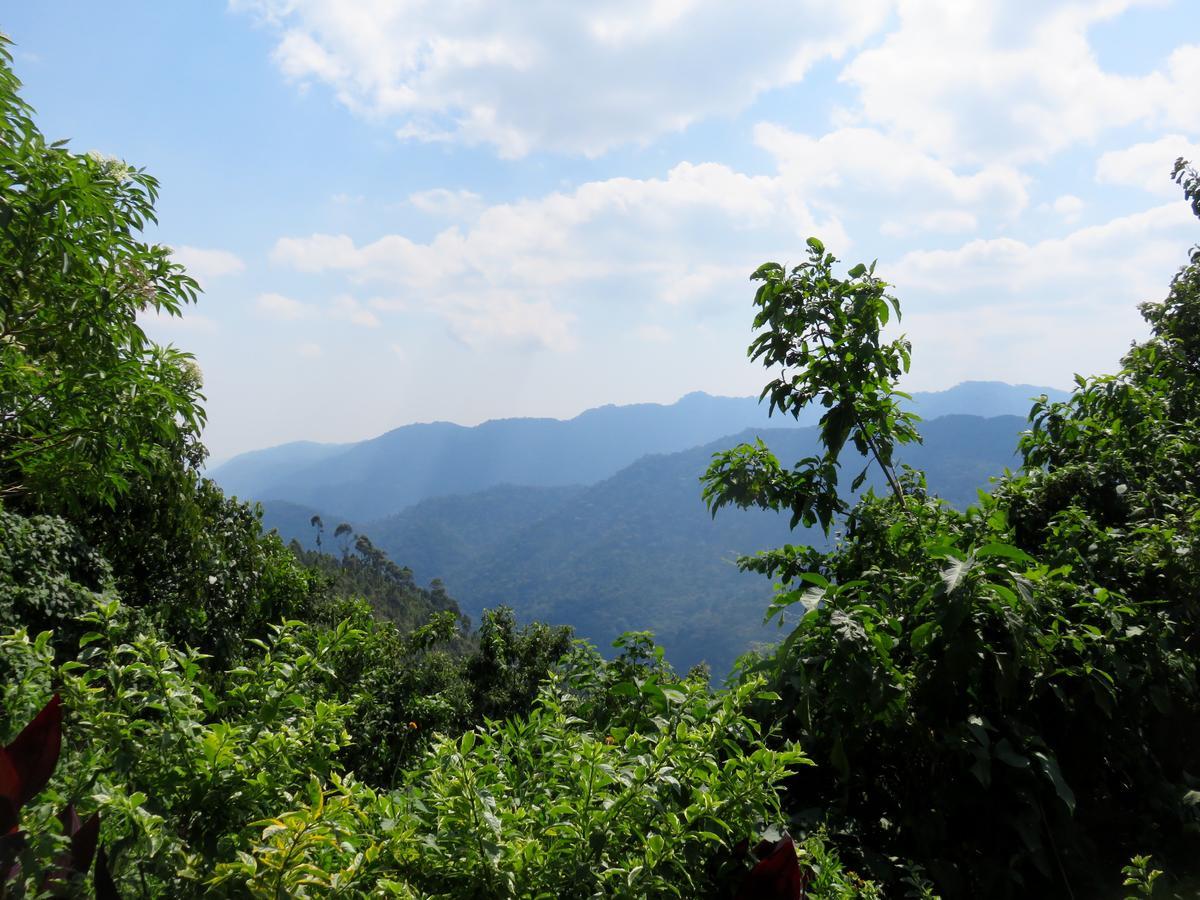 Nkuringo Bwindi Gorilla Lodge Bagian luar foto