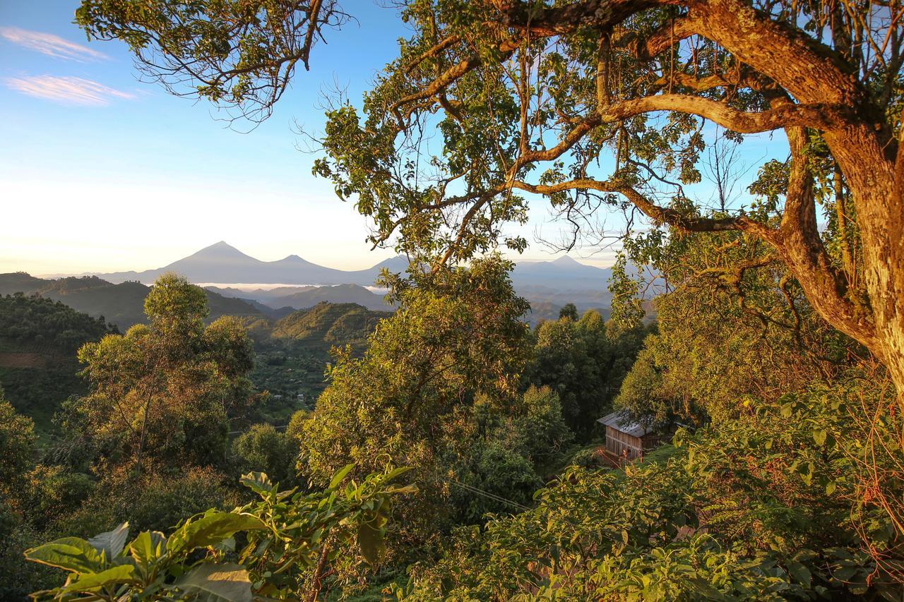 Nkuringo Bwindi Gorilla Lodge Bagian luar foto