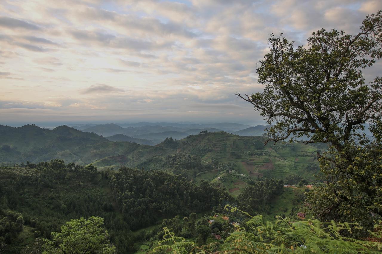 Nkuringo Bwindi Gorilla Lodge Bagian luar foto