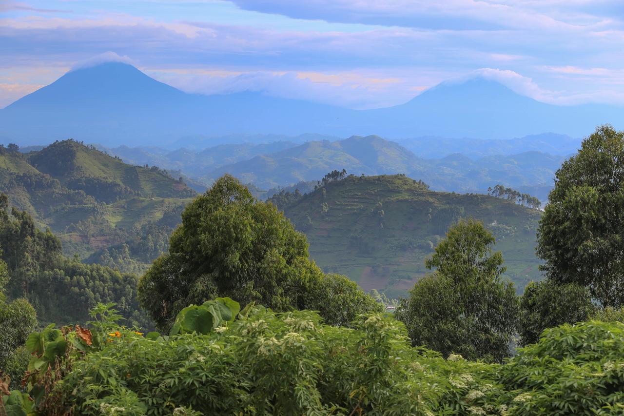 Nkuringo Bwindi Gorilla Lodge Bagian luar foto